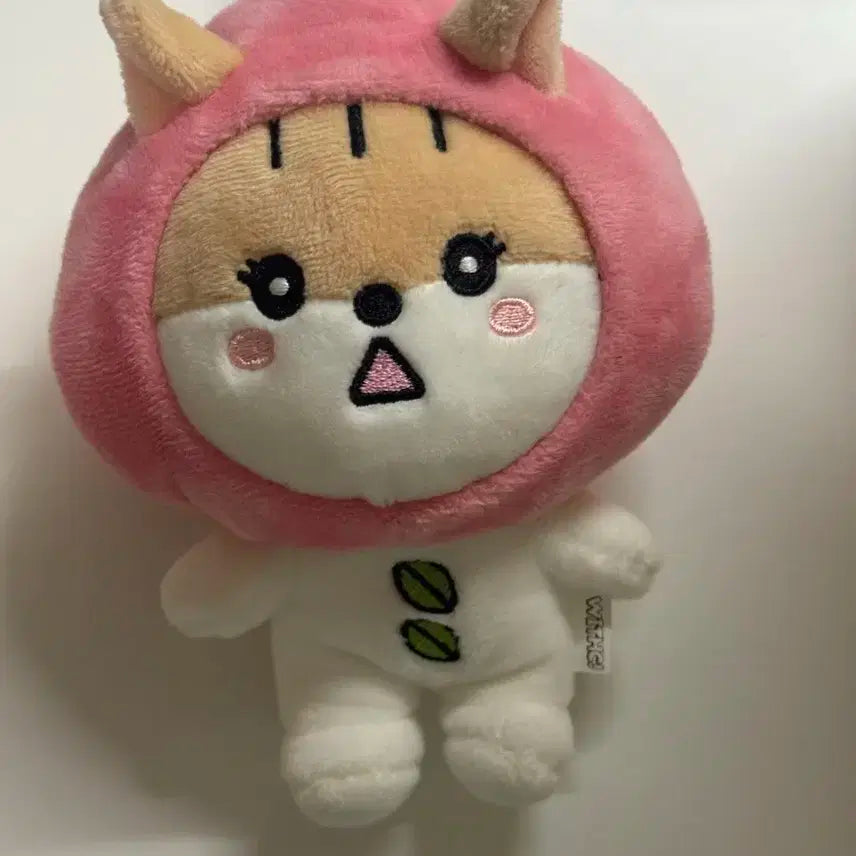 세복이 스테이씨 위씨 인형 세은
