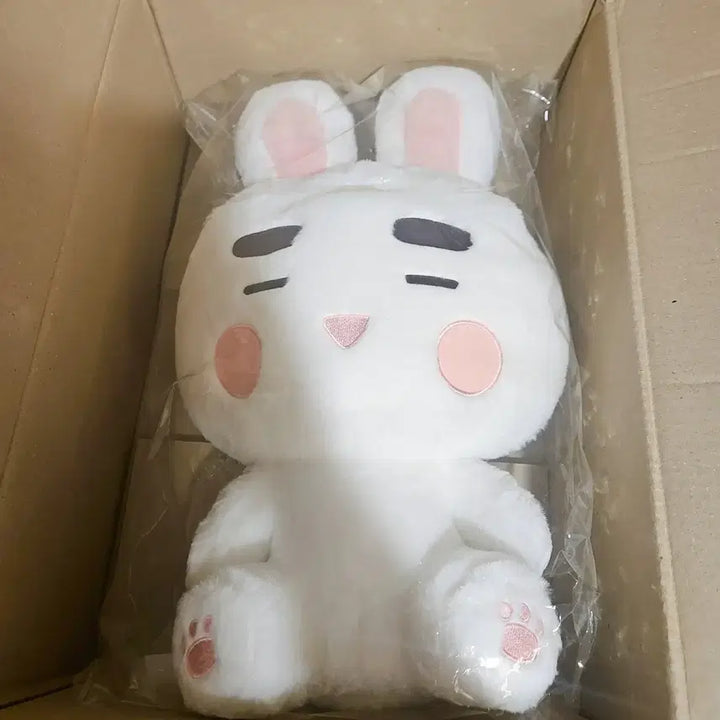 (미개봉/상자보관)샤이니 온유 찡구왕 40cm 인형 팝업
