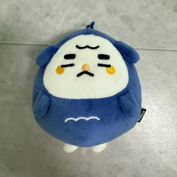 크래비티 강몽이 팝니다