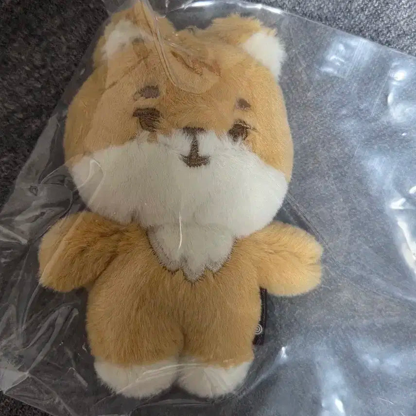 오늘만 2.3)데이식스 쁘띠멀즈 쁘멀 케 인형굿즈