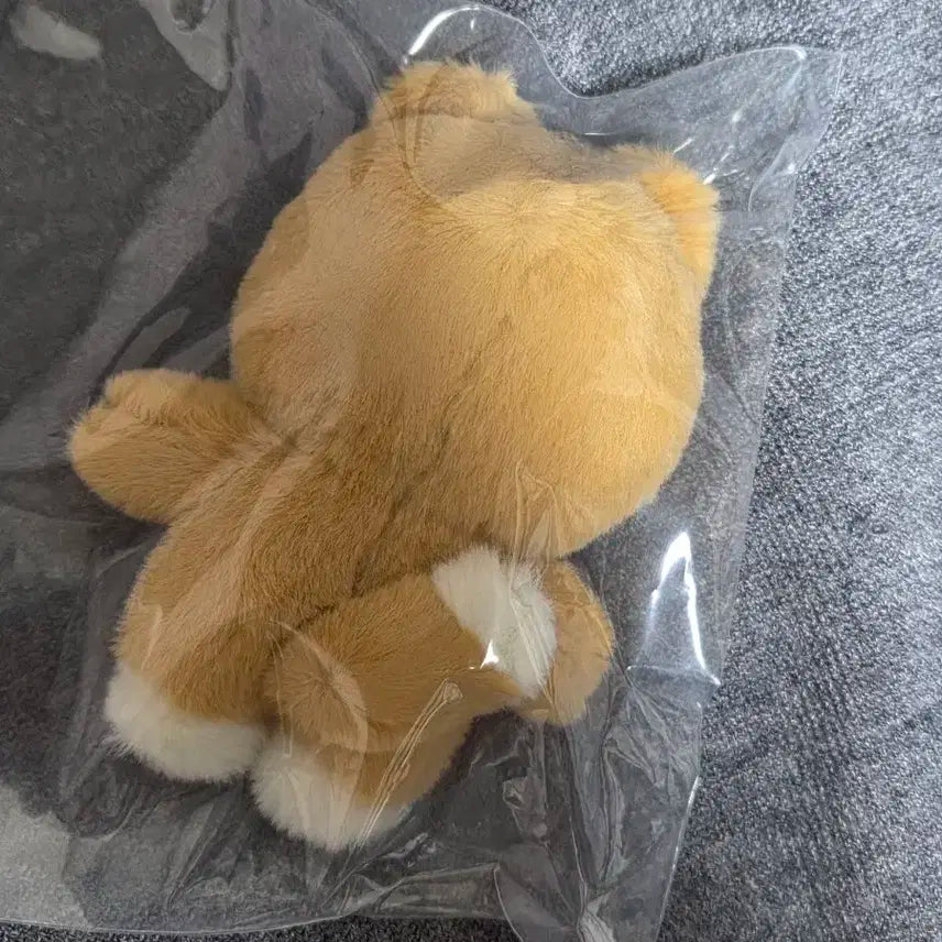 오늘만 2.3)데이식스 쁘띠멀즈 쁘멀 케 인형굿즈