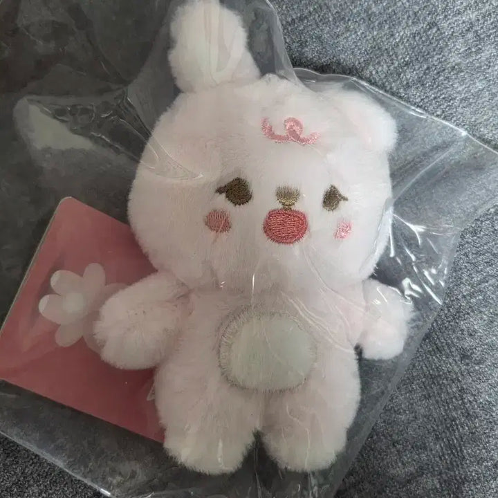 오늘만 2.3)데이식스 쁘띠멀즈 쁘멀 필 인형굿즈