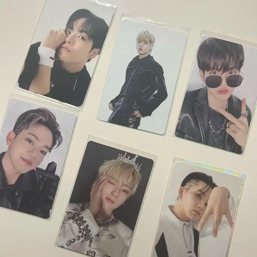 트레저 포카판매