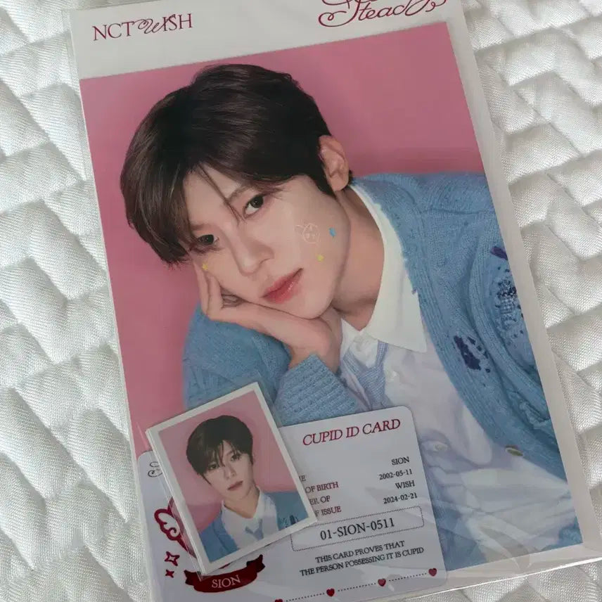 NCT WISH 엔시티위시 시온 스테디 팝업 포토세트