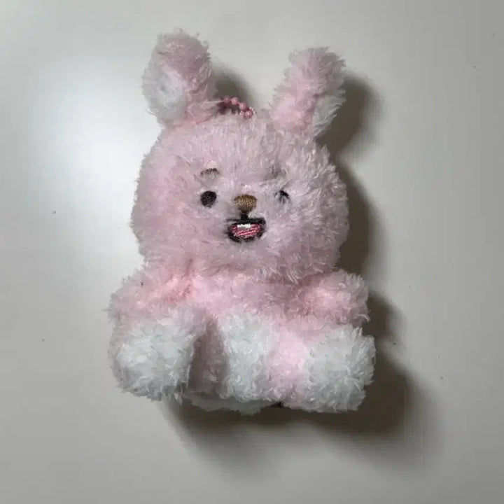 데이식스 데니멀즈 앉은멀즈 원필 필끼 양도