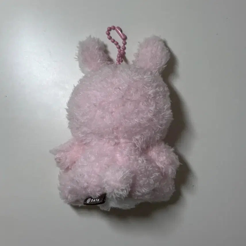 데이식스 데니멀즈 앉은멀즈 원필 필끼 양도