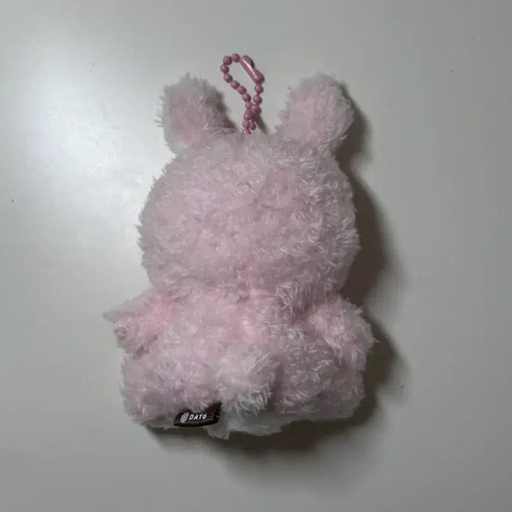 데이식스 데니멀즈 앉은멀즈 원필 필끼 양도