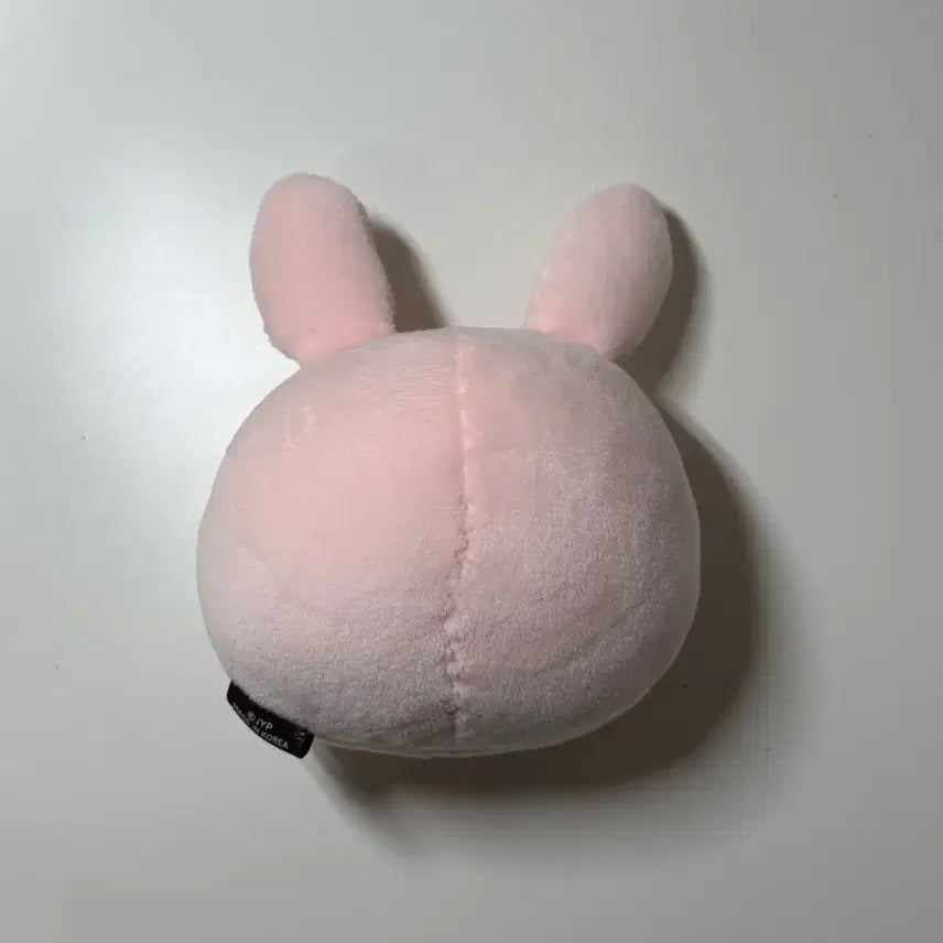 데이식스 데니멀즈 스트레스볼 원필 필끼 양도