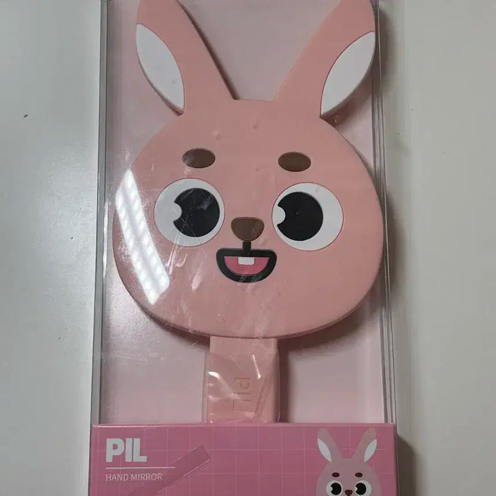 데이식스 데니멀즈 원필 필끼 거울 양도