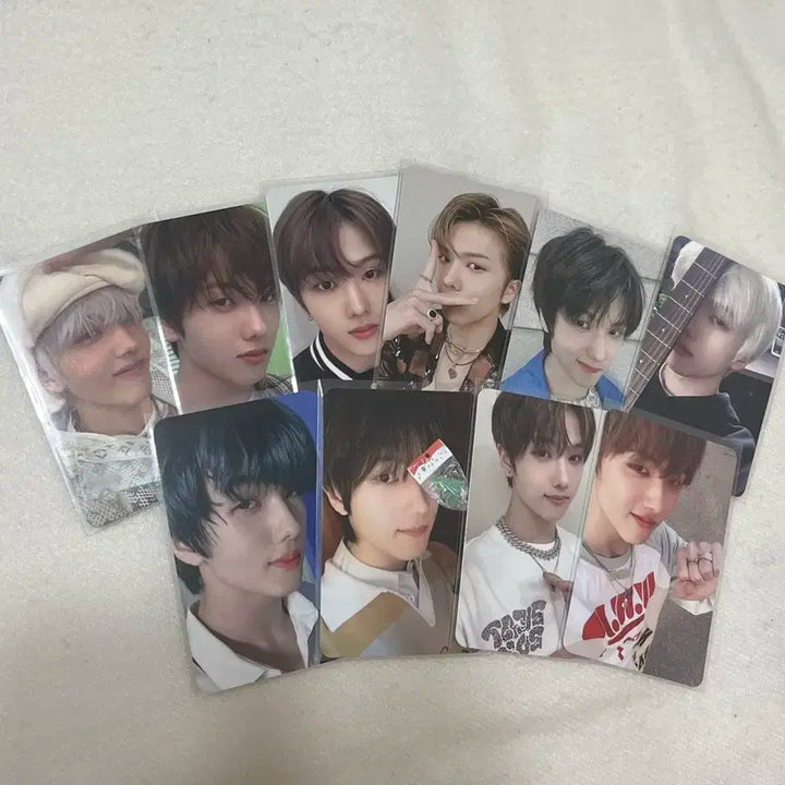 엔시티 지성 포카