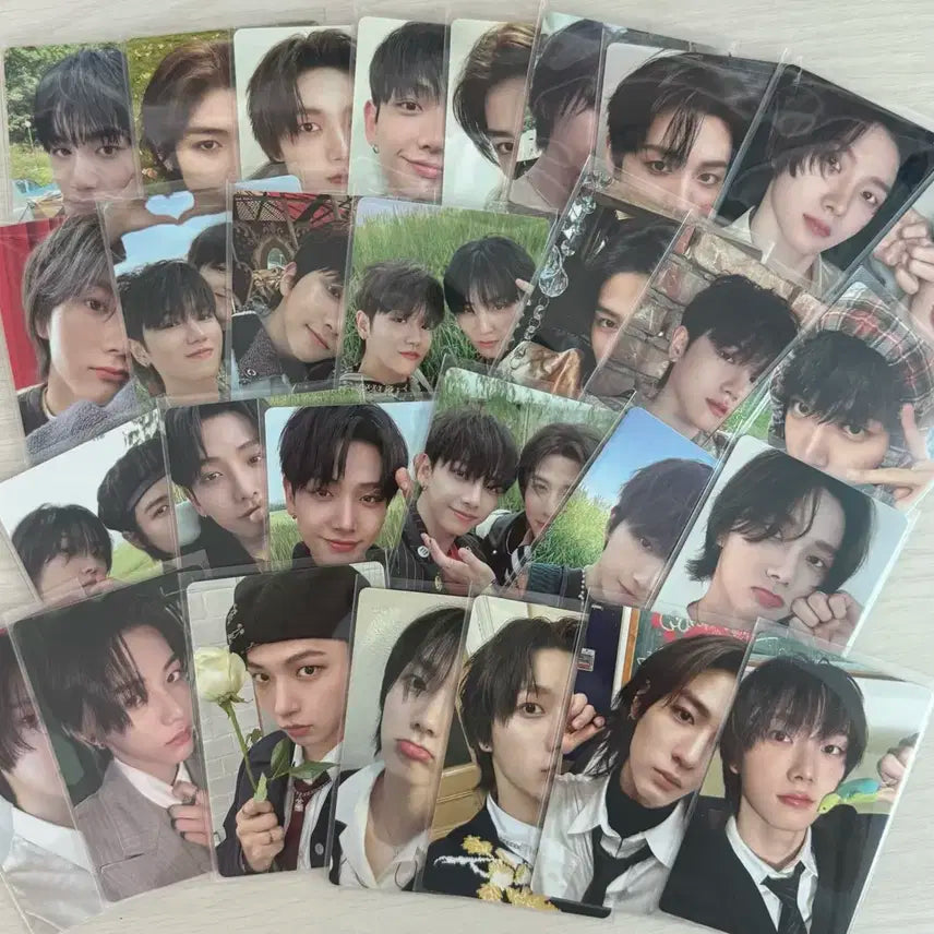 보넥도 포카 일괄