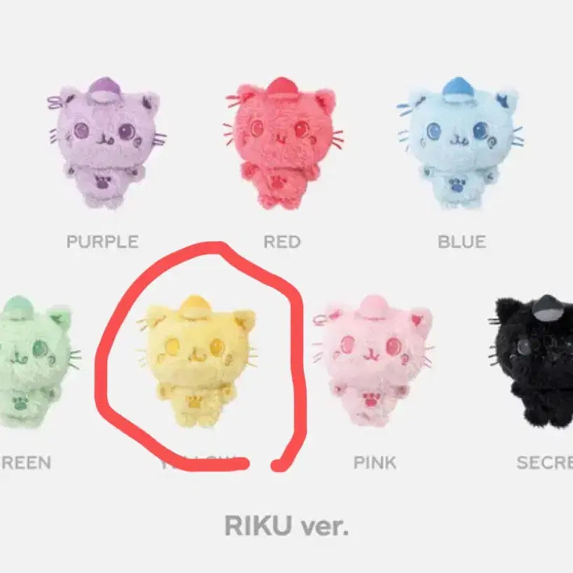 엔시티위시 리쿠 위부부 쿠리 원가이하 양도