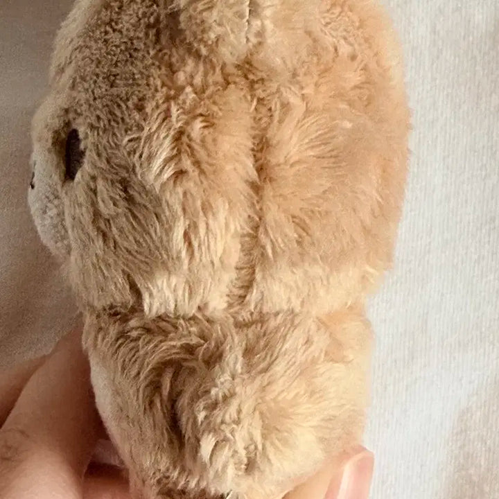 해찬 인형 쨘곰이 팝니다.