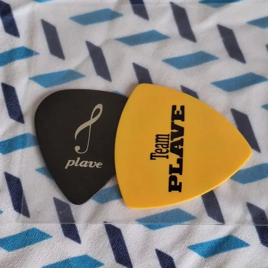 플레이브 2024 시그 기타피크