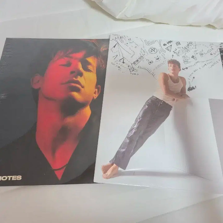 찰리 푸스 Voicenotes/Charlie 앨범 세트