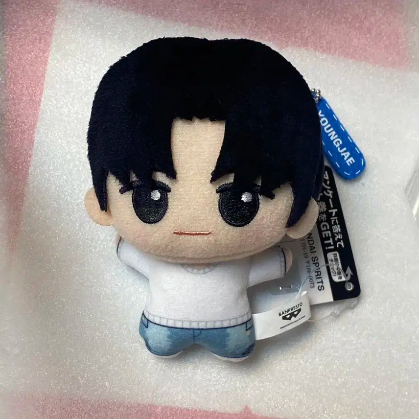 TWS 투어스 치비누이 인형 반다이남코 영재