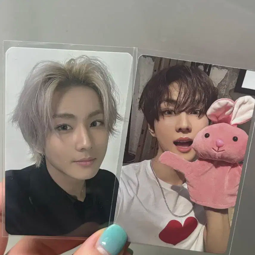 엔하이픈 정원포카 일괄