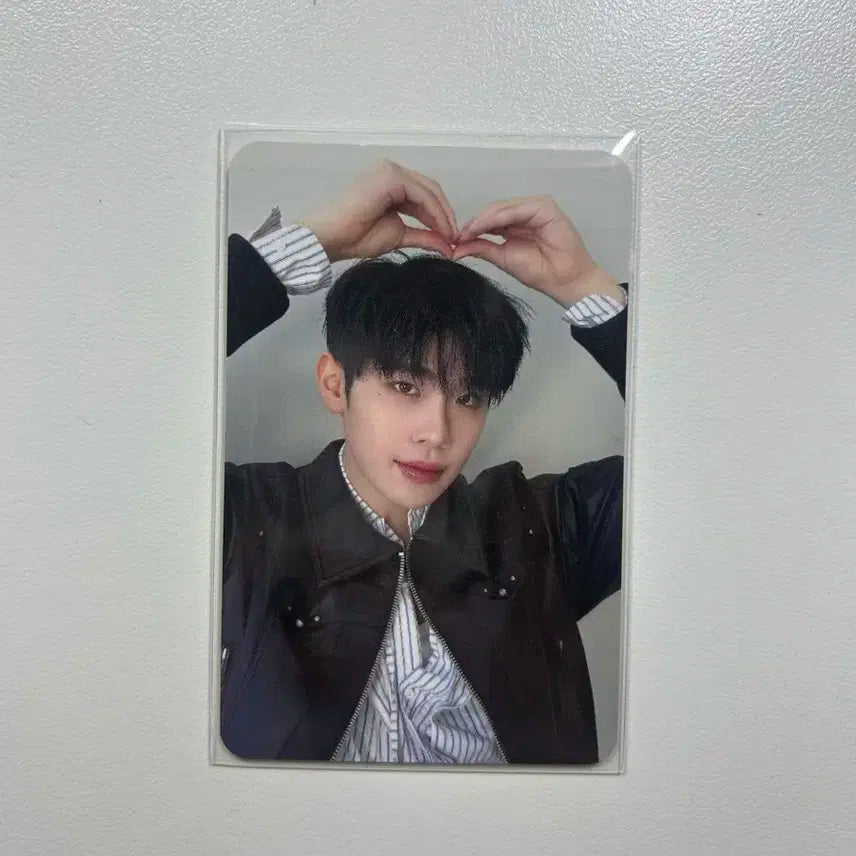 제베원 위드뮤 태래 포카 양도