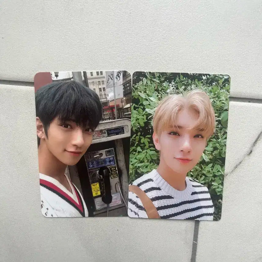 급처) 세븐틴 조슈아 포카 일괄 판매