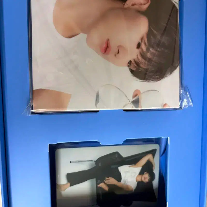 세븐틴 베스트앨범 캐럿반 호시