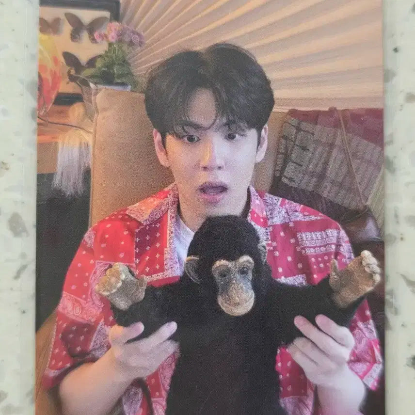 데이식스 원필 필숭이 포카