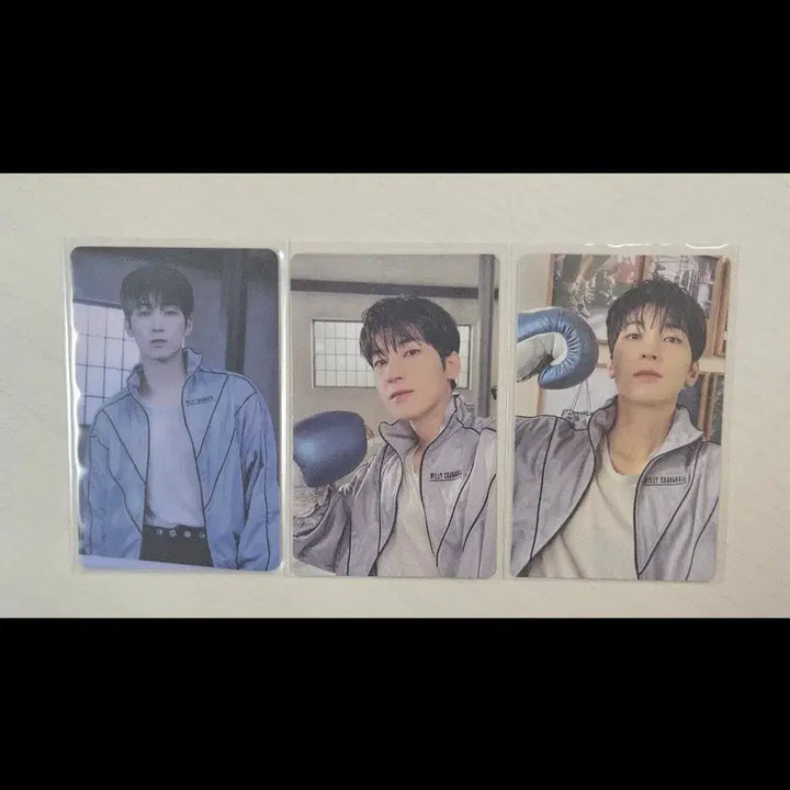 세븐틴 원우 fml 위버스 포카 세트