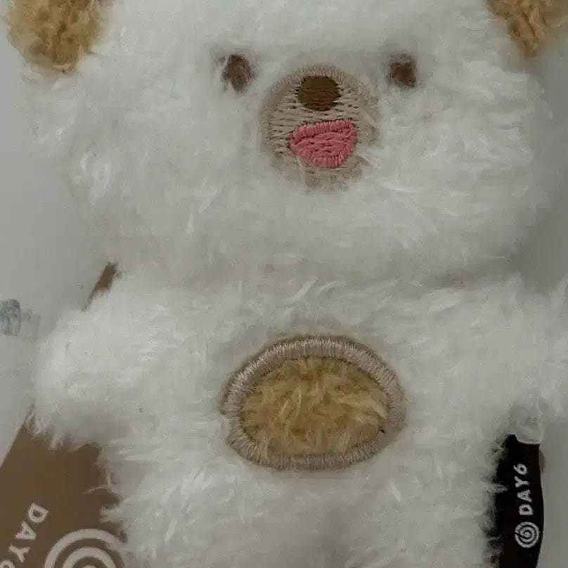 데니멀즈 마그넷 돈 데이식스 윤도운 쁘띠멀즈