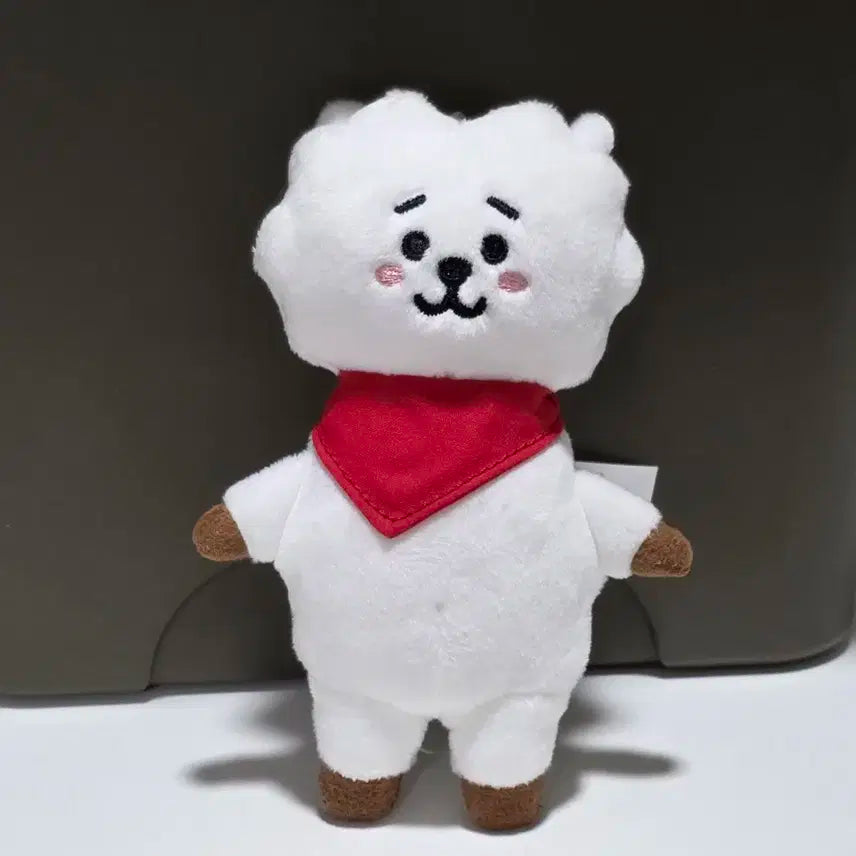 방탄소년단 BT21 알제이 RJ 인형
