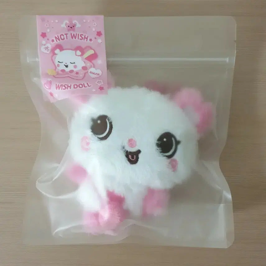 엔시티 위시 위시돌 팡이 사쿠야 nct wish