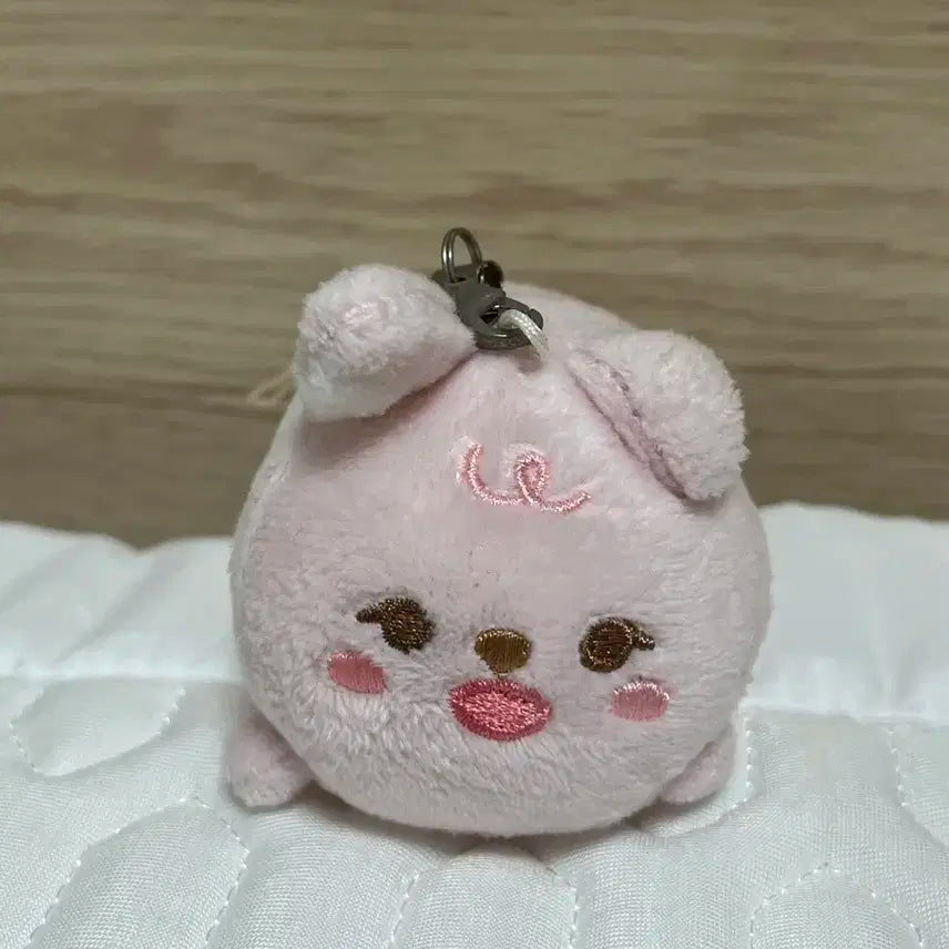 데이식스 원필 쁘띠멀즈 데니멀즈 필끼