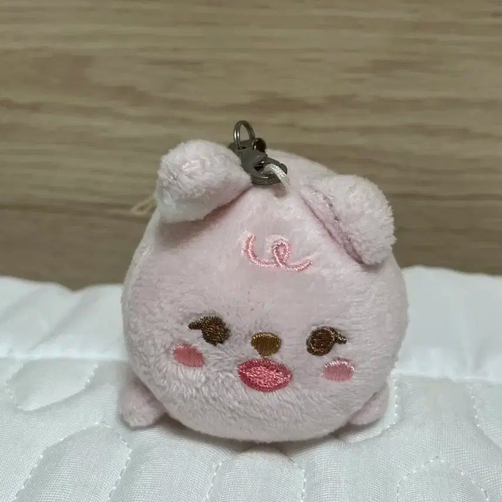 데이식스 원필 쁘띠멀즈 데니멀즈 필끼