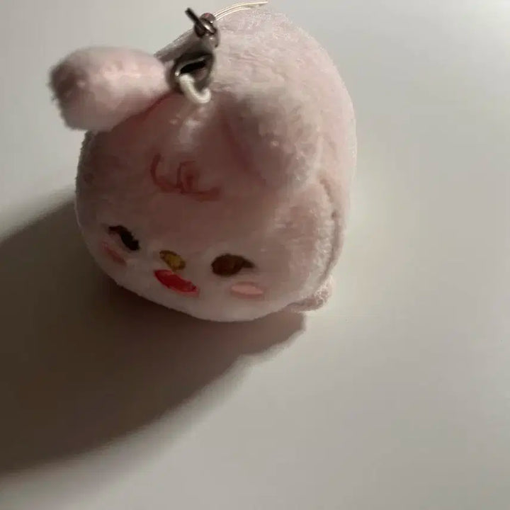 데이식스 원필 쁘띠멀즈 데니멀즈 필끼