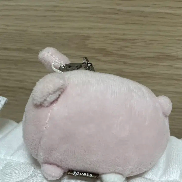 데이식스 원필 쁘띠멀즈 데니멀즈 필끼