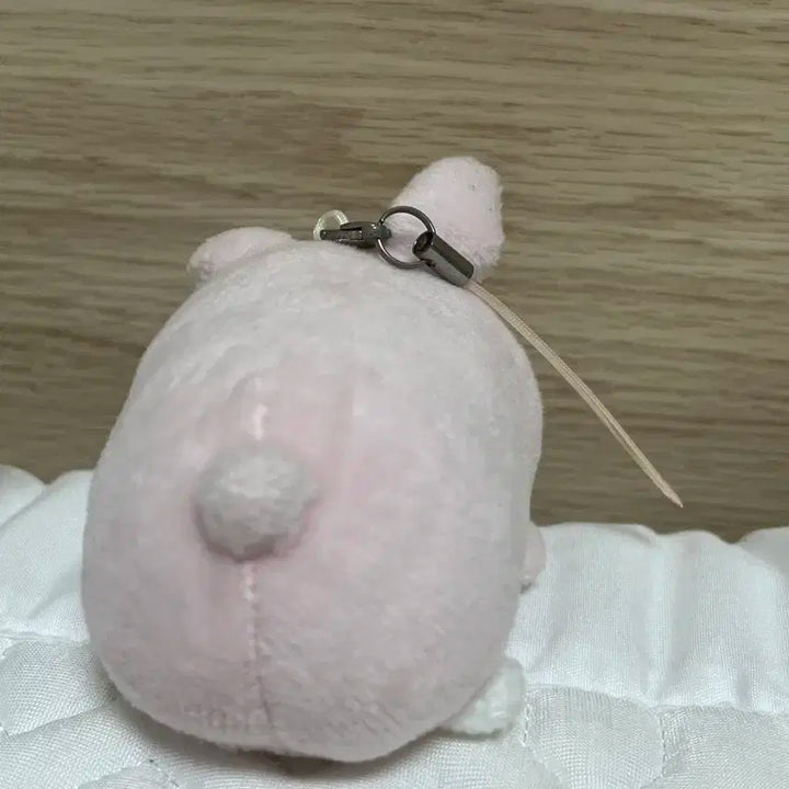 데이식스 원필 쁘띠멀즈 데니멀즈 필끼