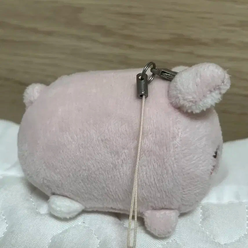 데이식스 원필 쁘띠멀즈 데니멀즈 필끼