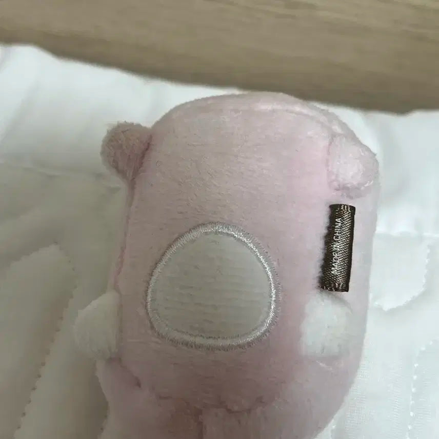 데이식스 원필 쁘띠멀즈 데니멀즈 필끼