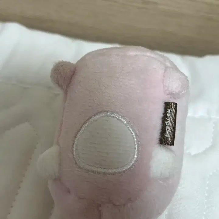 데이식스 원필 쁘띠멀즈 데니멀즈 필끼