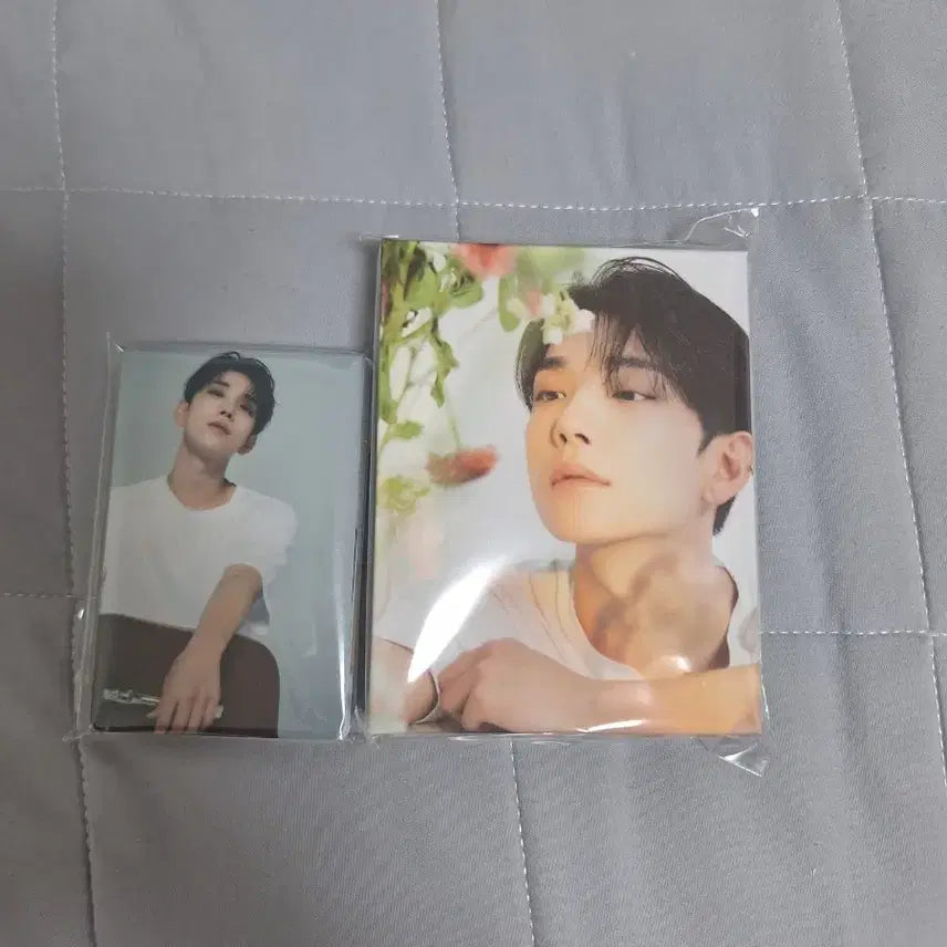 세븐틴 조슈아 바인더+포카 24장 양도