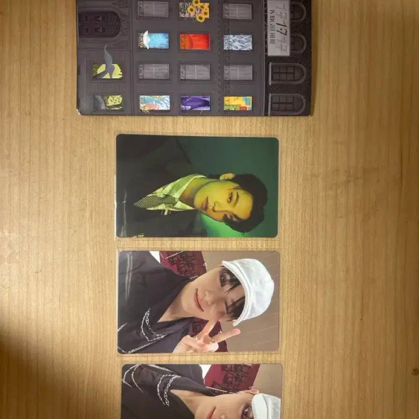 17 is right here 위버스반 디노 포카