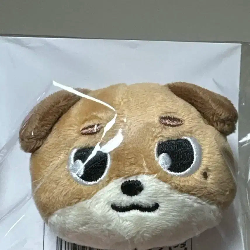 원가이하) 데이식스 데니멀즈 토이뱃지 돈 일본 엠디