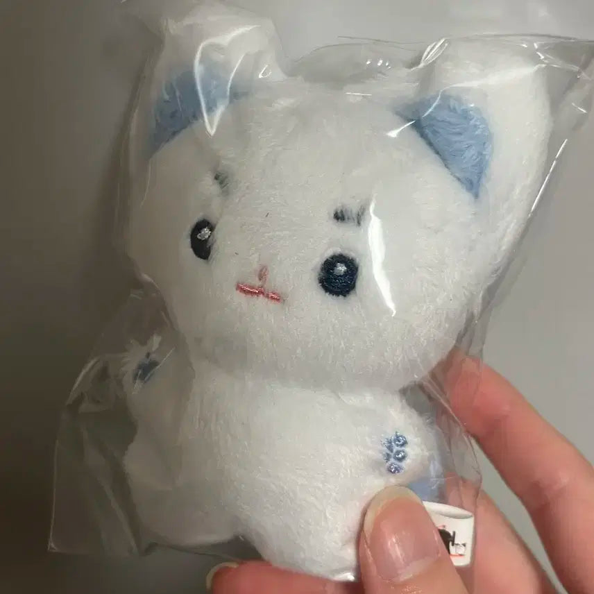 제베원 성한빈 빈뽀 인형