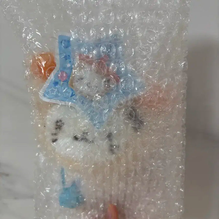 [개봉O, 외출X] NCT wish doll 버블냥