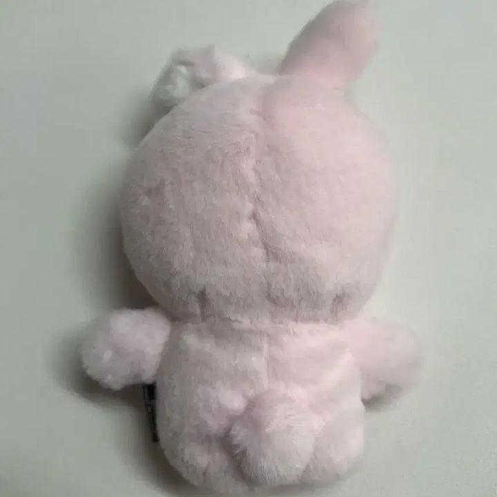 데이식스 데니멀즈 손가락인형 핑거퍼펫 원필 필끼 ㅅㅊ)포카