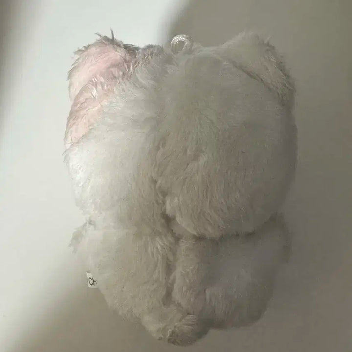 성한빈 인형 콩토리 판매합니다