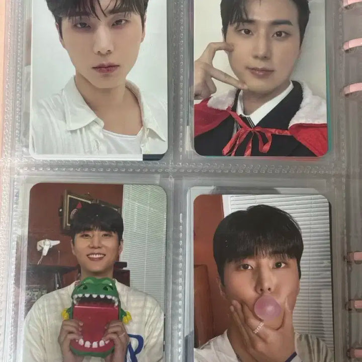 데이식스 영케이 포카 일괄 양도