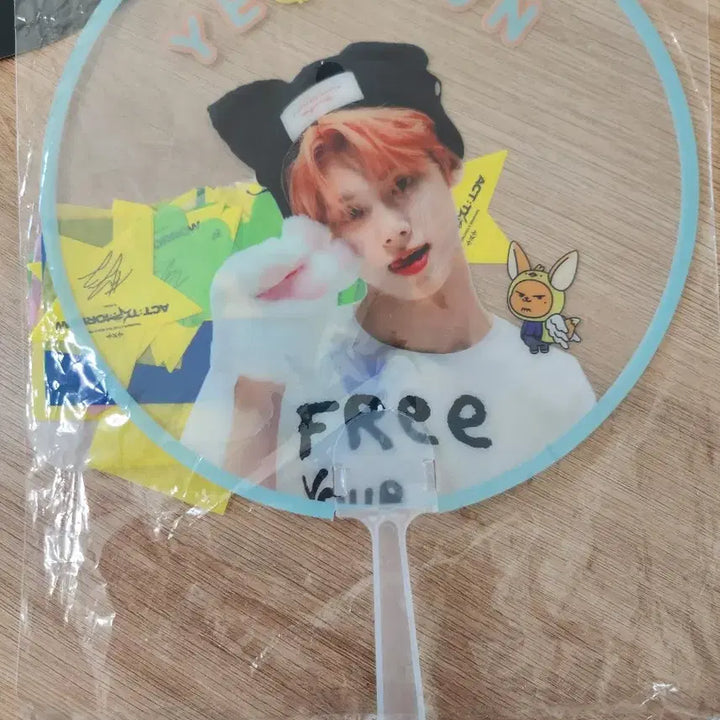 투바투 모아존 포카 및 연준 생일 황춘 인형