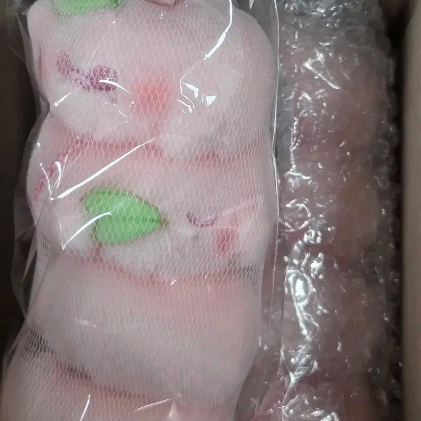 NCT 재현 인형 피치돌 양도