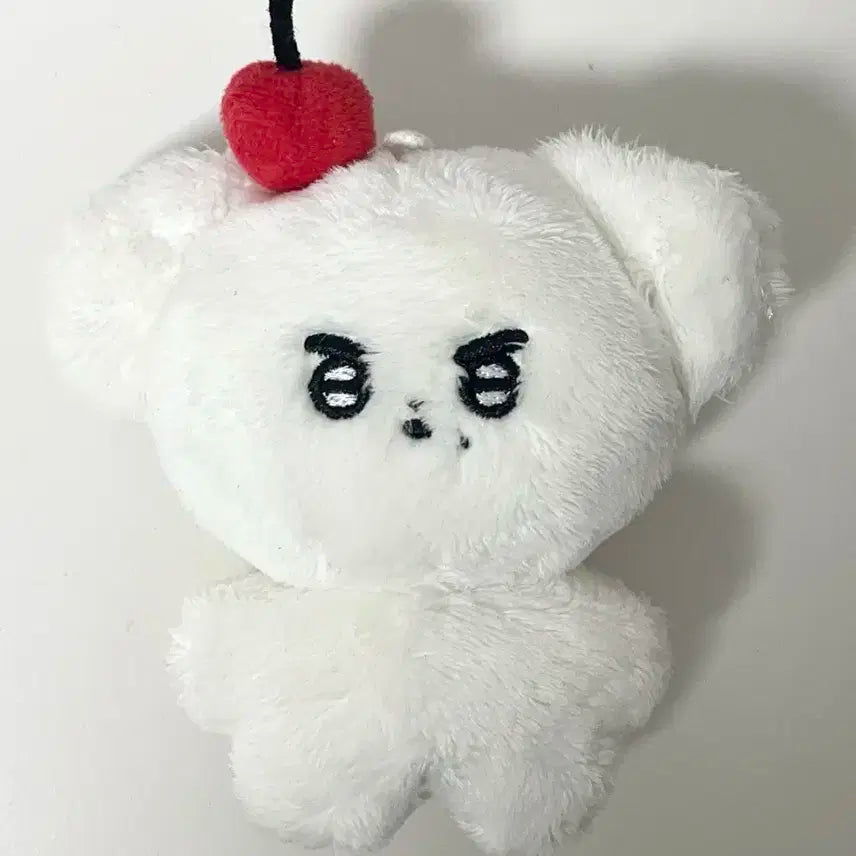 더보이즈 영훈 인형 체리티쥬 양도