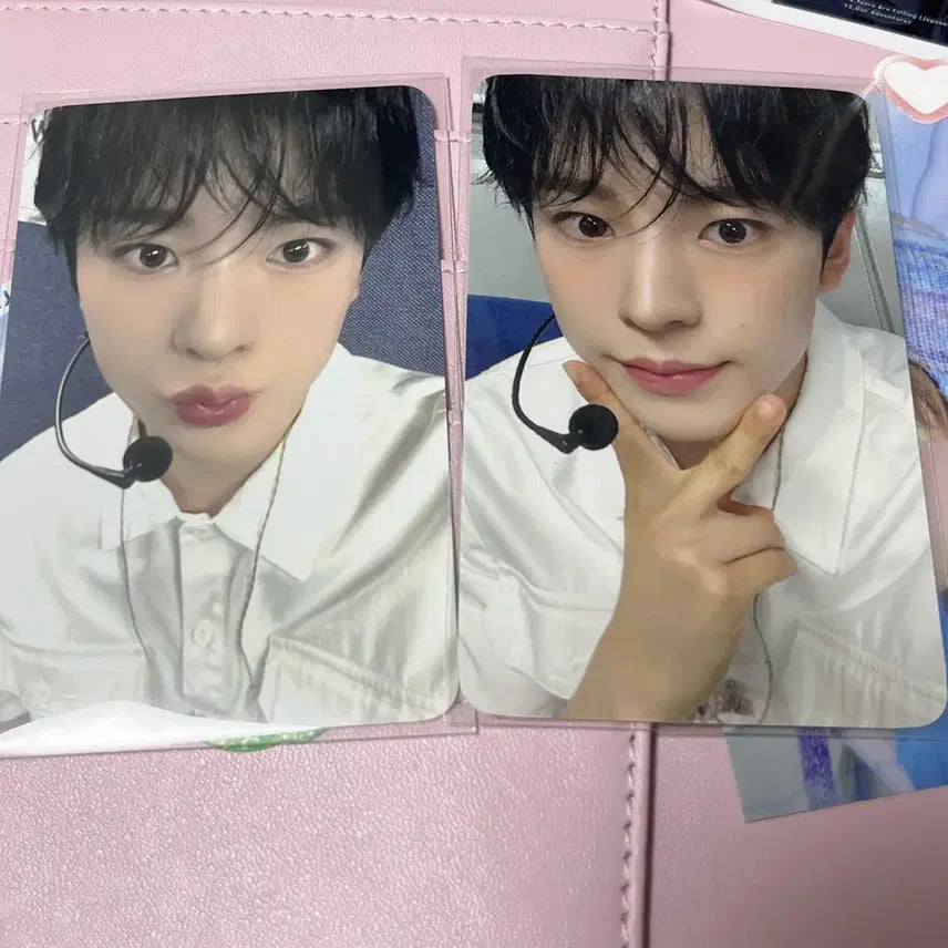 엔시티위시 유우시 송버드 포카 일괄 양도