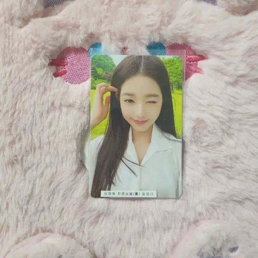 아이브 장원영 에프터라이크 앨범3 앨포